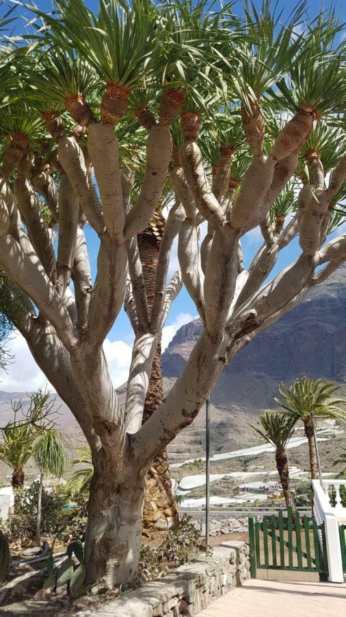 Villa De Cactualdea San Nicolas ภายนอก รูปภาพ