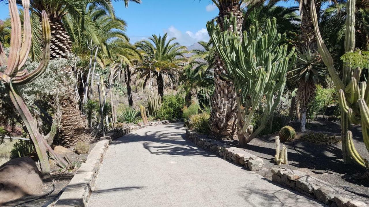 Villa De Cactualdea San Nicolas ภายนอก รูปภาพ