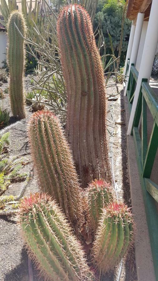 Villa De Cactualdea San Nicolas ภายนอก รูปภาพ